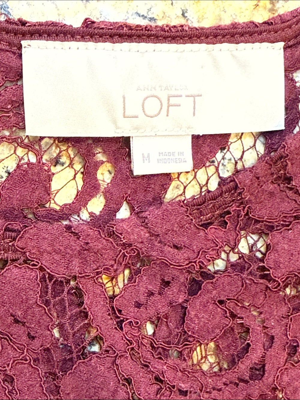 Loft lace top - Picture 5 of 5